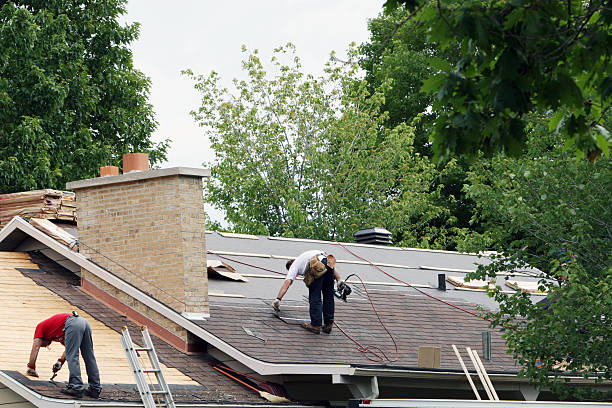 Best Roof Gutter Cleaning  in Glenmora, LA